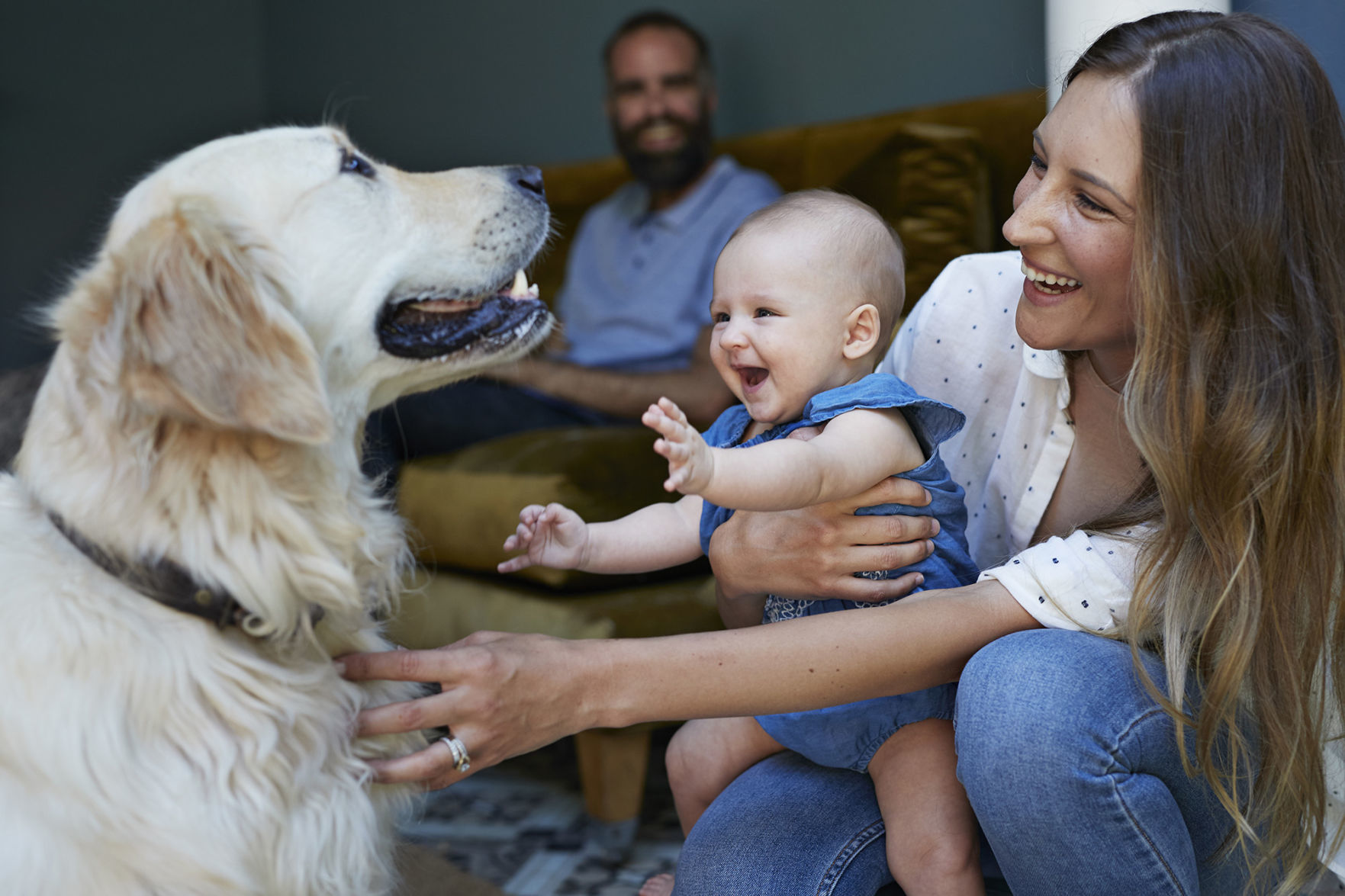 Introducing pets to new baby